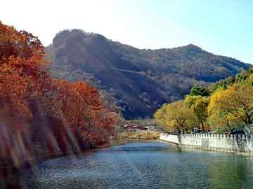 新澳天天开奖资料大全旅游团，景东彝族自治seo教程网